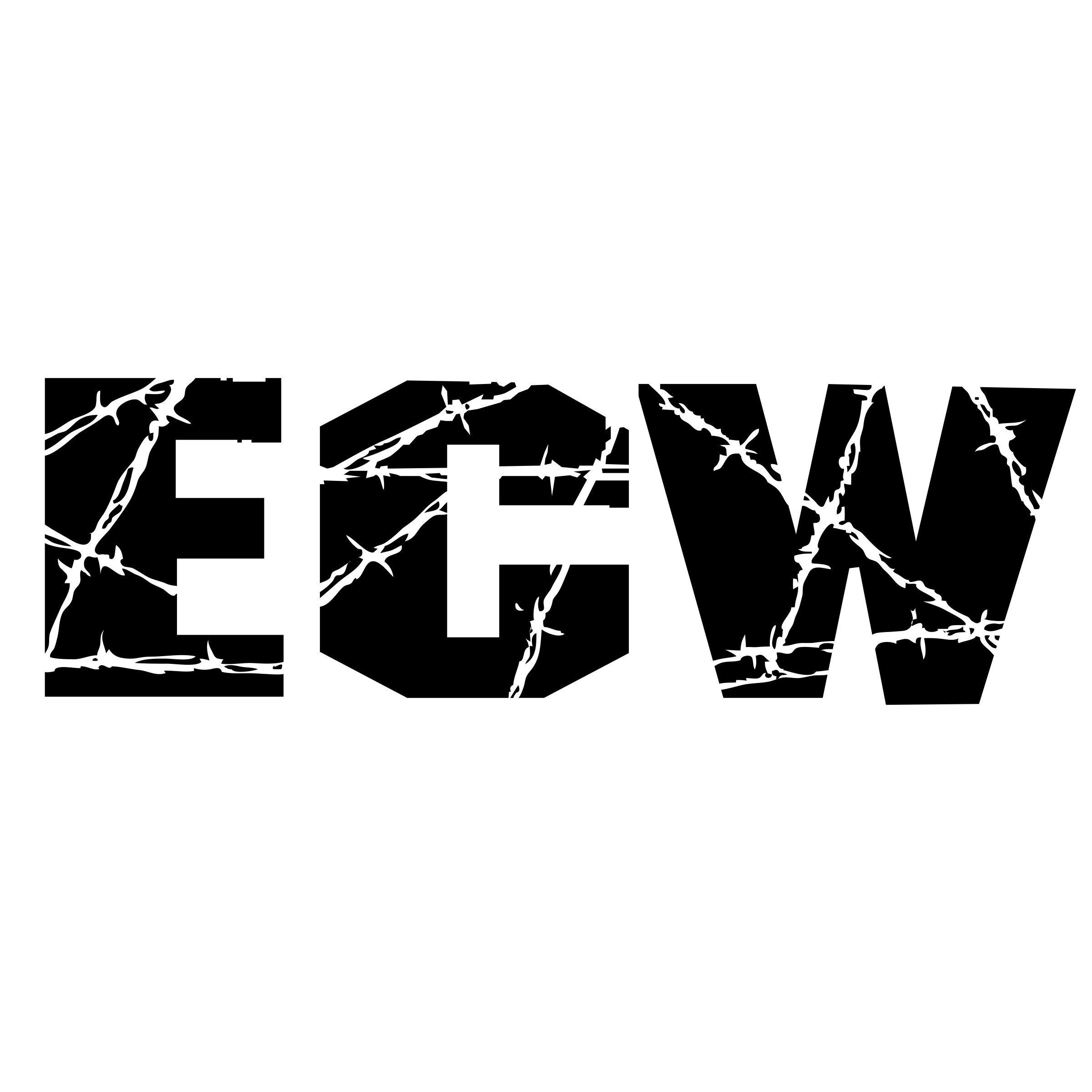 ecw-logo-png-transparent